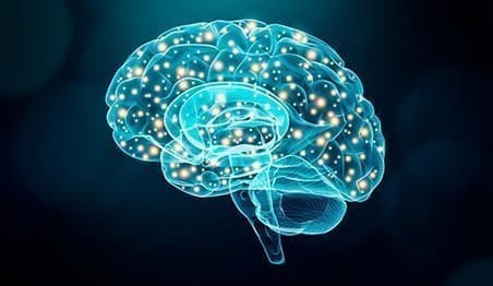 conocer cómo el cerebro elabora la información mejora los procesos educativos
