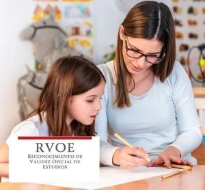 paso a paso: cómo investigar y confirmar el rvoe de tu universidad
